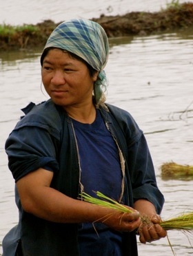 thai-women-working