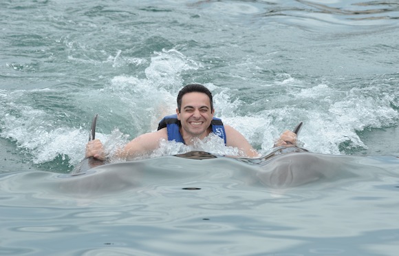 dolphins-swim-mexico