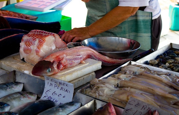 fish-market