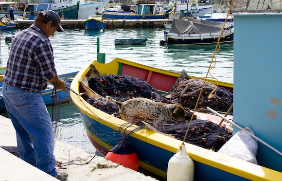 fisherman-malta