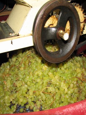 grape-crusher-wine