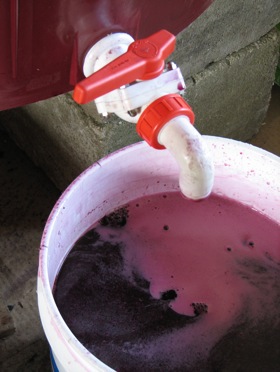 home-wine-making