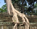 angkor-wat-tomb-raider.jpg