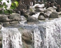 chandigarh-waterfall