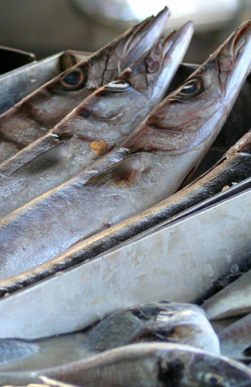 malta fish market